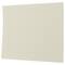 JAM Paper 3.5" x 4.875" Ivory Panel Blank Flat Note Cards